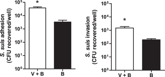 Fig 6