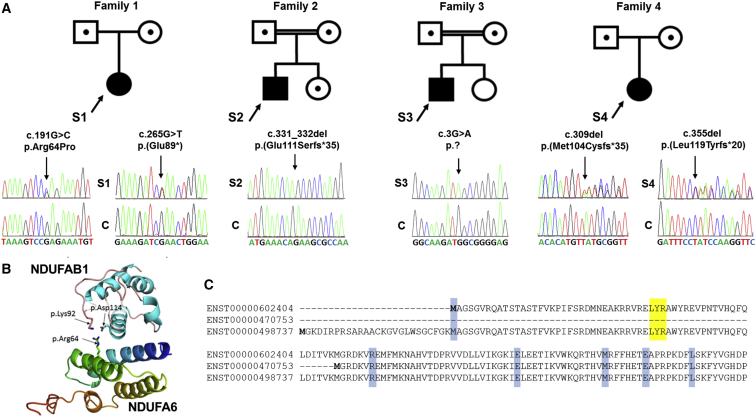 Figure 2