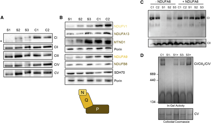 Figure 3