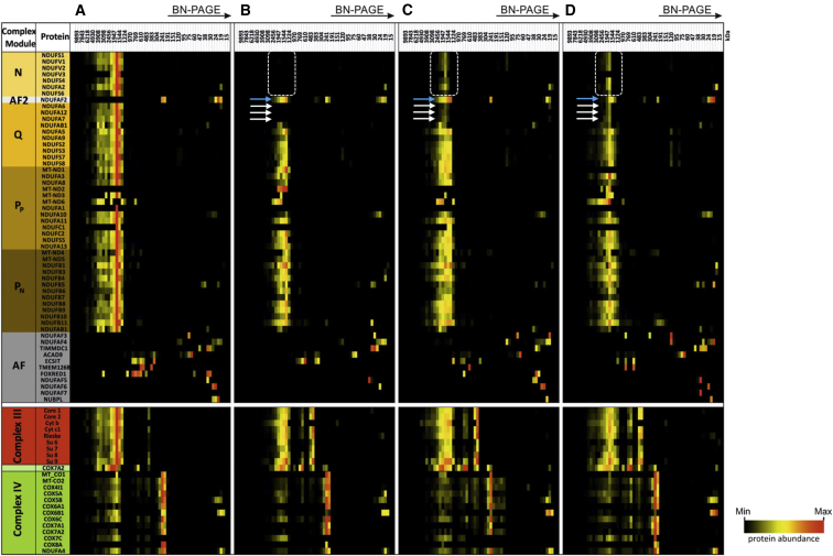 Figure 4