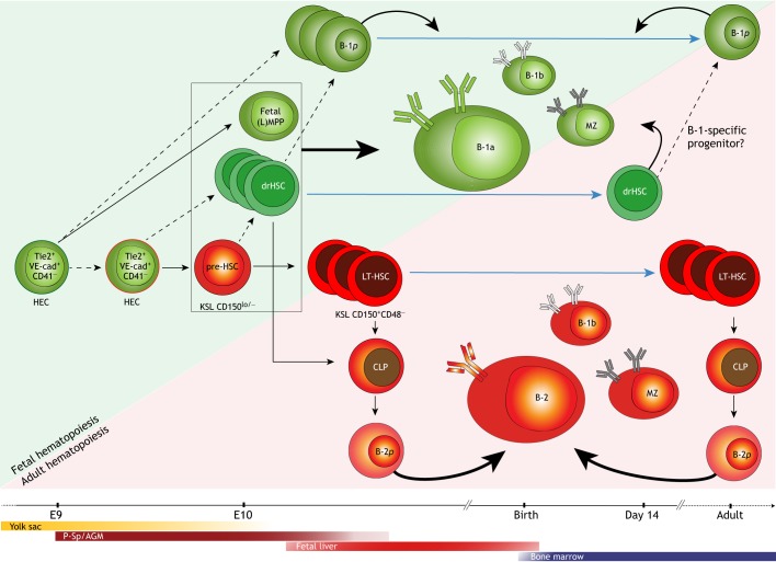 Fig. 3.