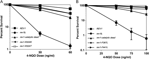 Figure 2.—