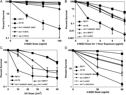 Figure 3.—