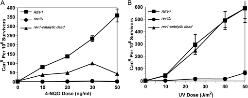 Figure 7.—