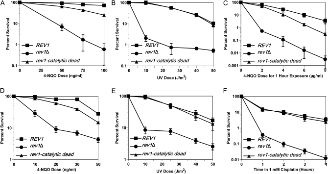 Figure 1.—