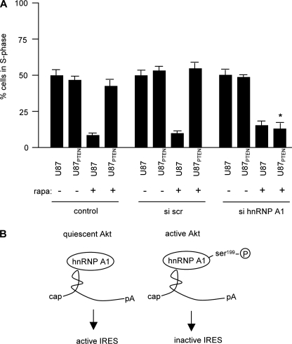 FIGURE 10.