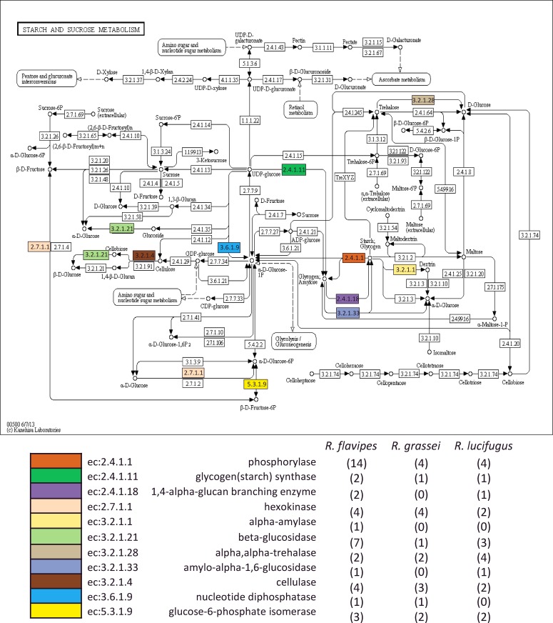 Fig 6