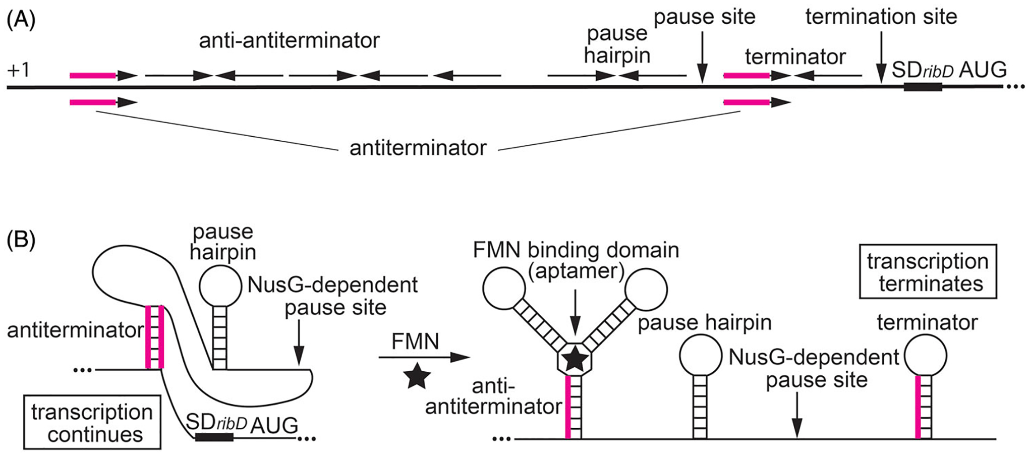 Figure 5.