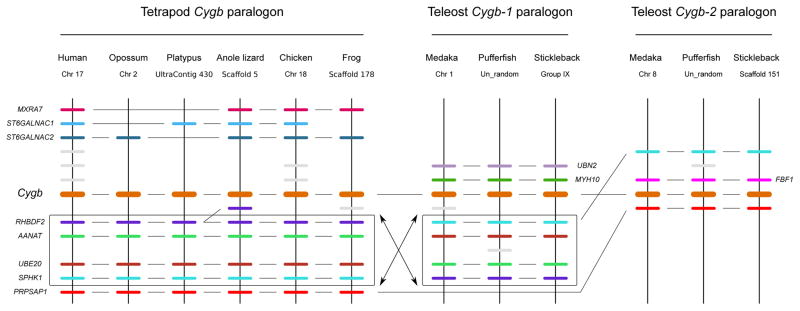 Figure 7