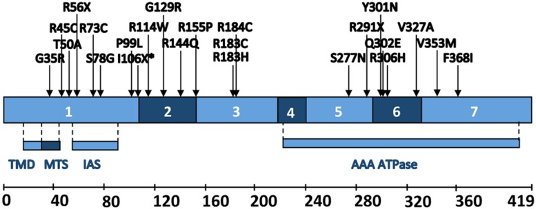 FIGURE 2