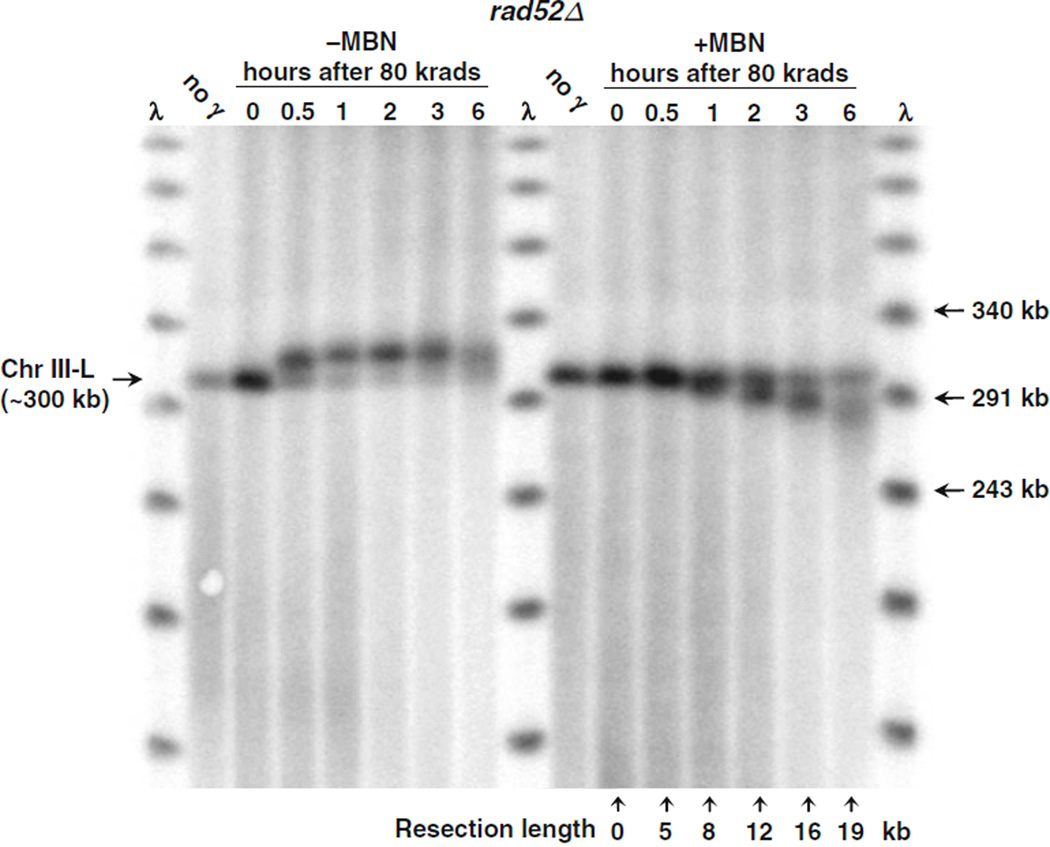 Fig. 2.2