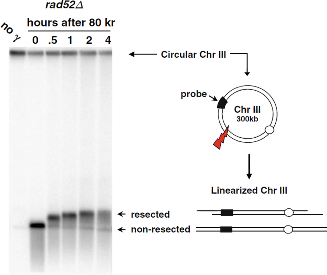 Fig. 2.1