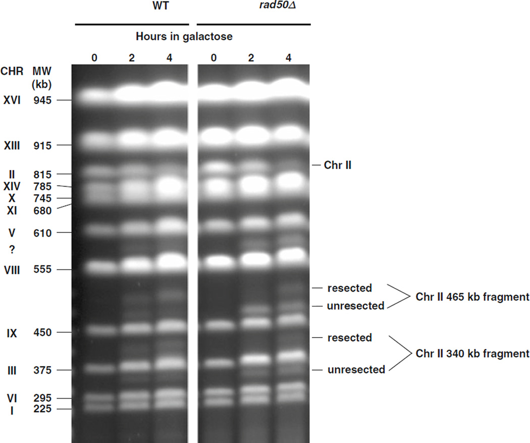 Fig. 2.3