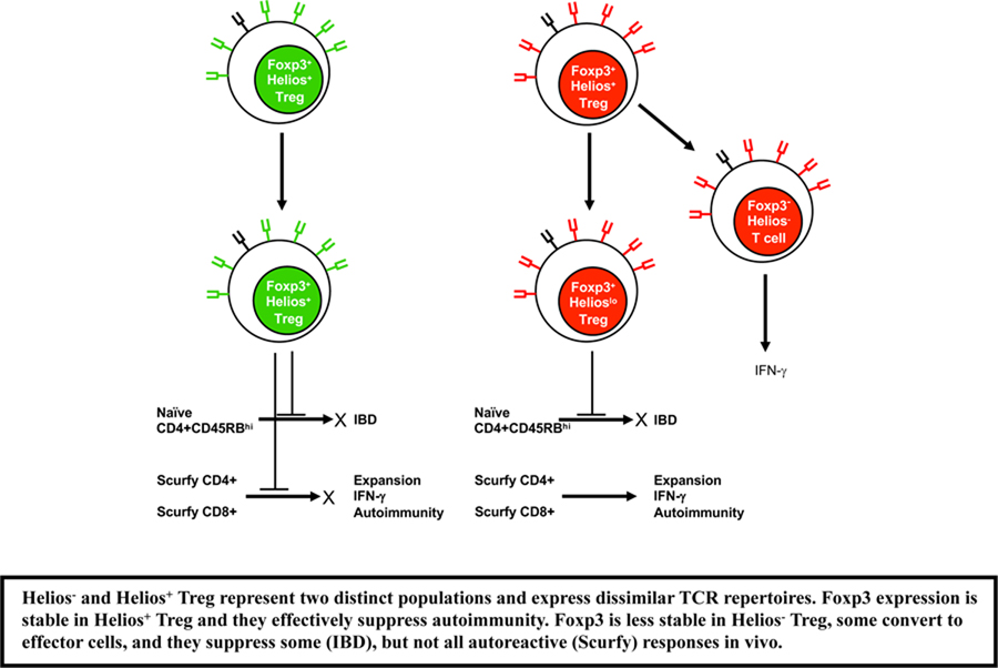 graphic file with name nihms-1005733-f0001.jpg