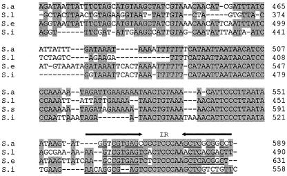 FIG.2.