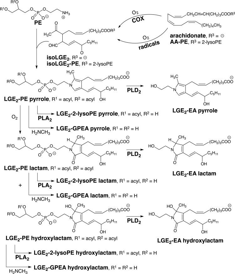 FIG. 5.