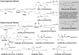 <b>FIG. 1.</b>