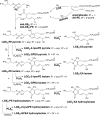 <b>FIG. 5.</b>