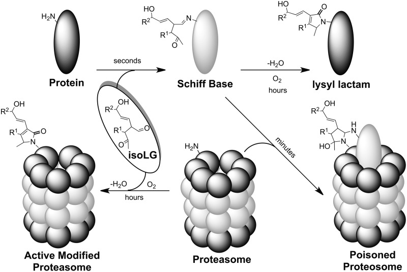 FIG. 7.