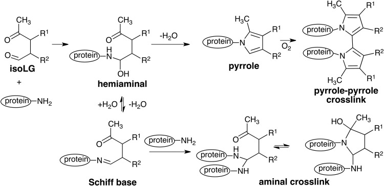 FIG. 8.