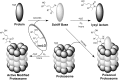<b>FIG. 7.</b>
