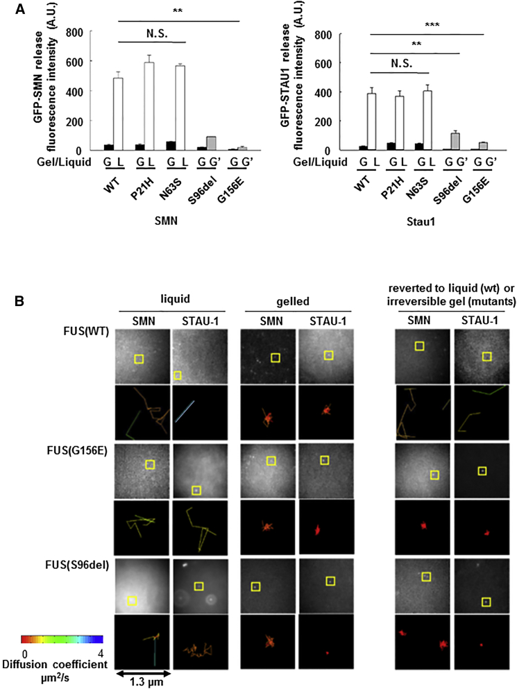 Figure 6