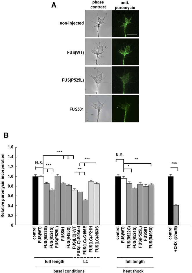 Figure 7