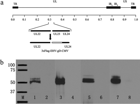 FIG 1