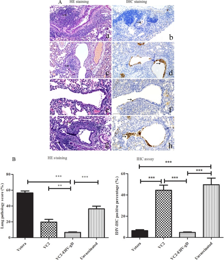 FIG 12