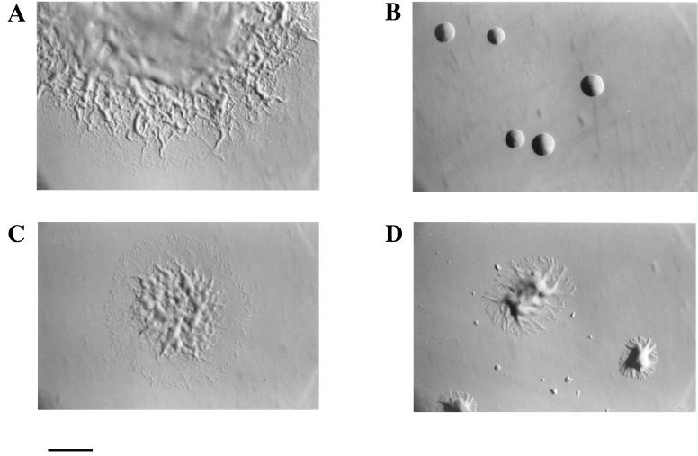 FIG. 4