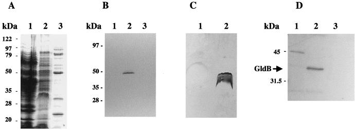 FIG. 6