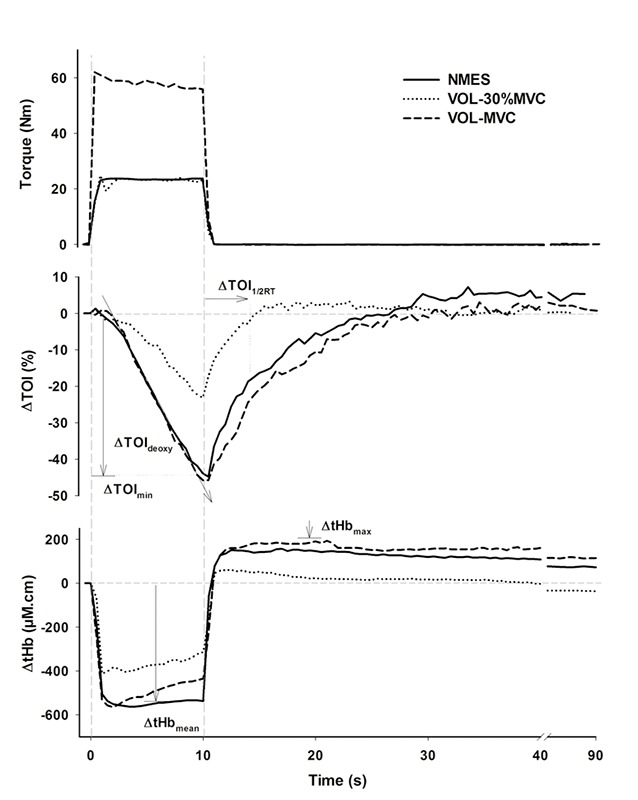 Fig 1.