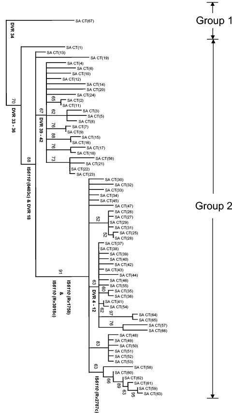 FIG.2.