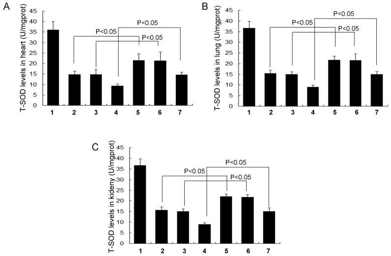 Figure 7.