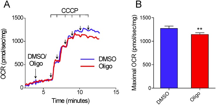 Fig 10