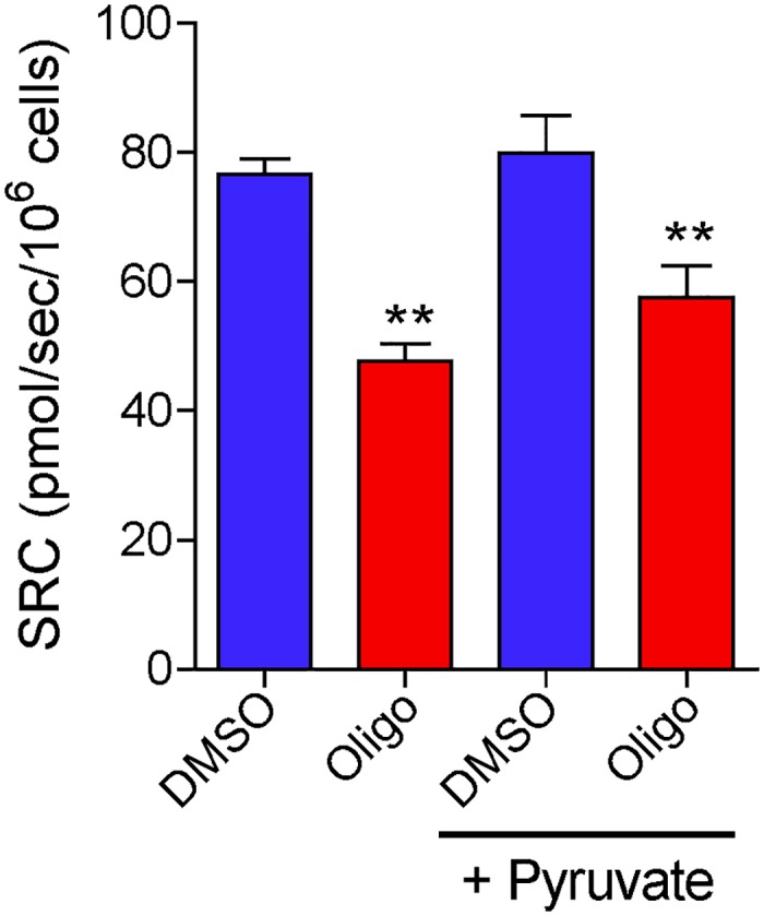 Fig 8