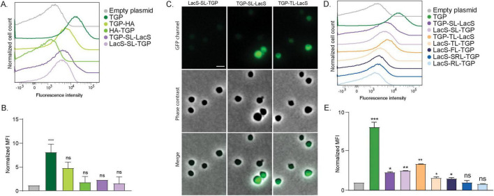 FIGURE 2