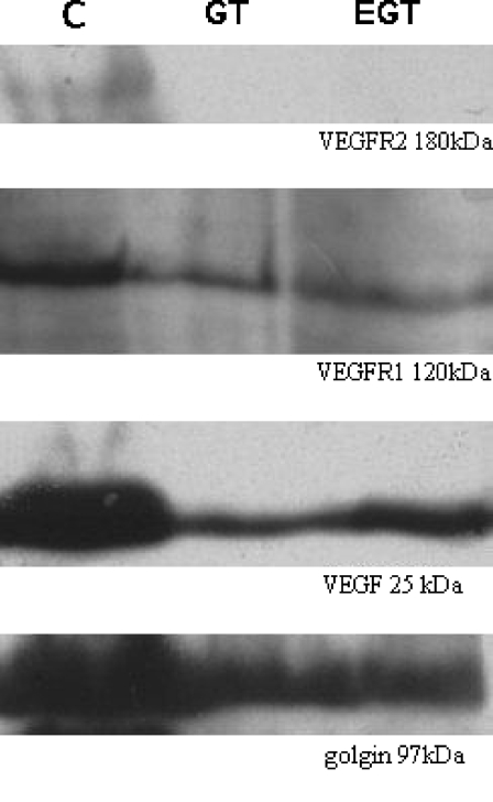 Fig. 5