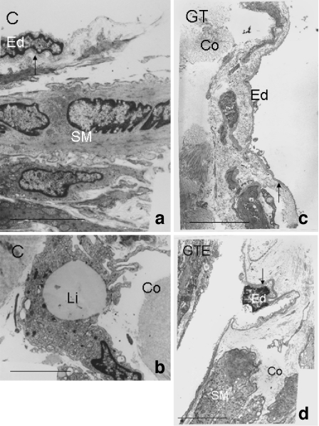 Fig. 4