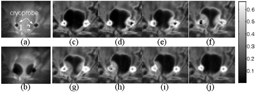 Figure 7