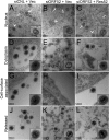 FIG 10