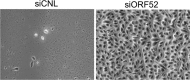FIG 8