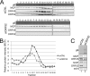 FIG 6