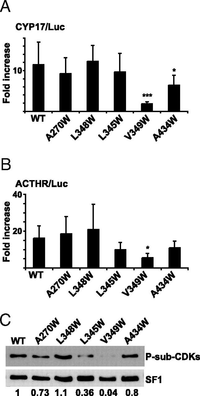 Fig. 8.