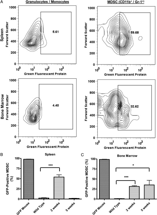 Fig. 4.