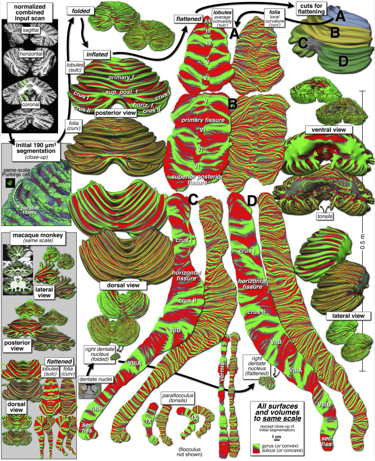 Fig. 2.