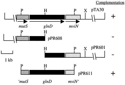 FIG. 1