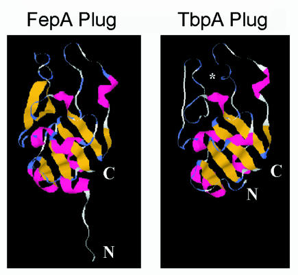 FIG. 8.