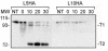 FIG. 7.