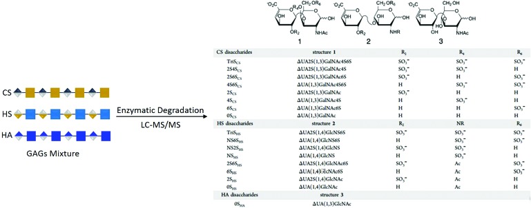 FIG. 8.